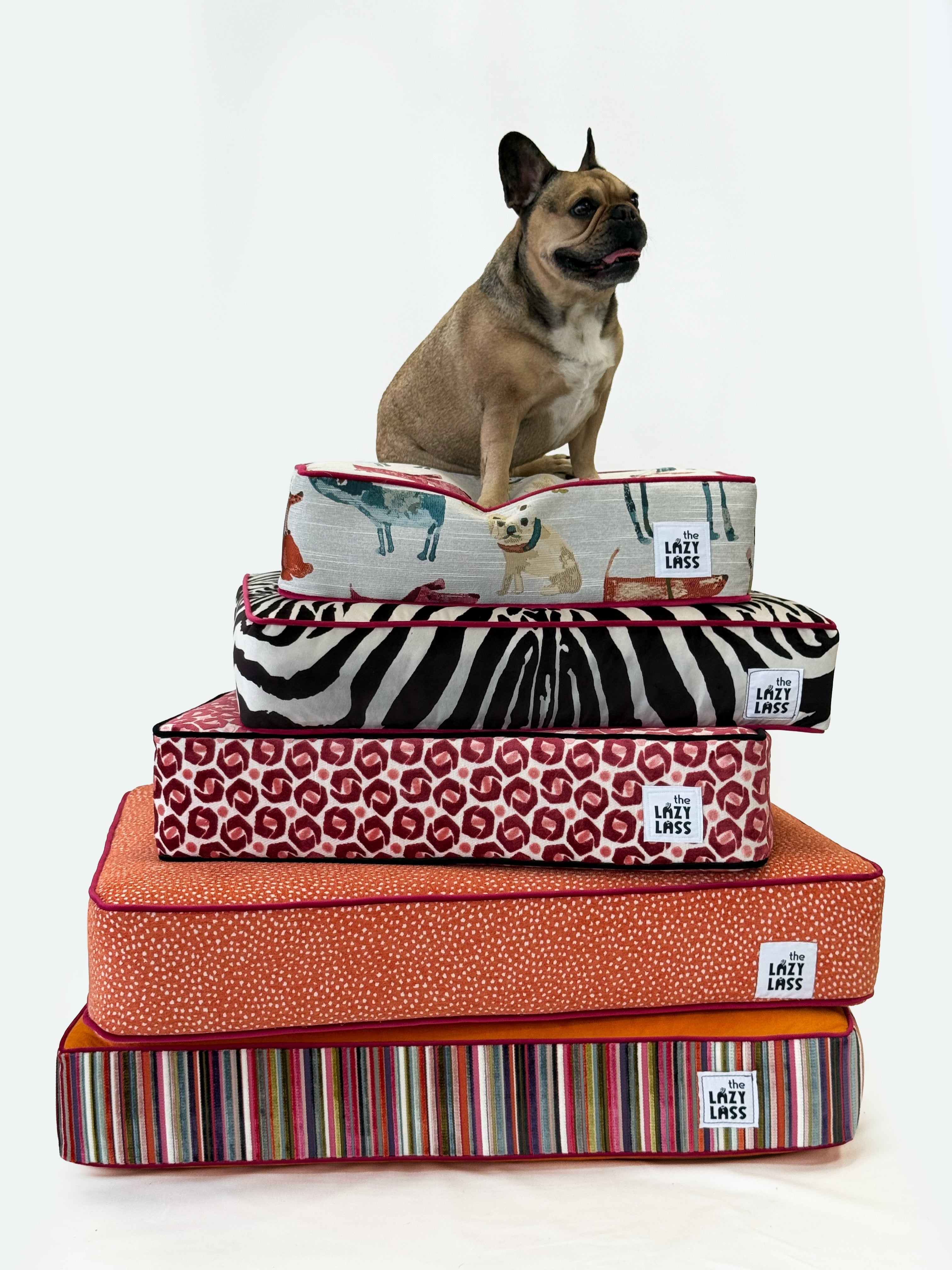 Spring Snooze Collection