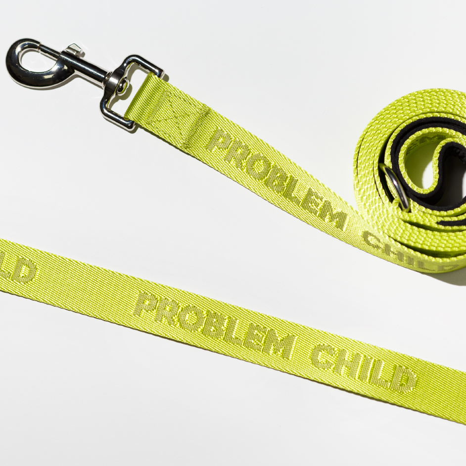 Problem Child - Dog Leash