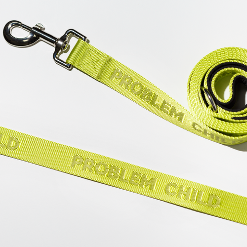 Problem Child - Dog Leash