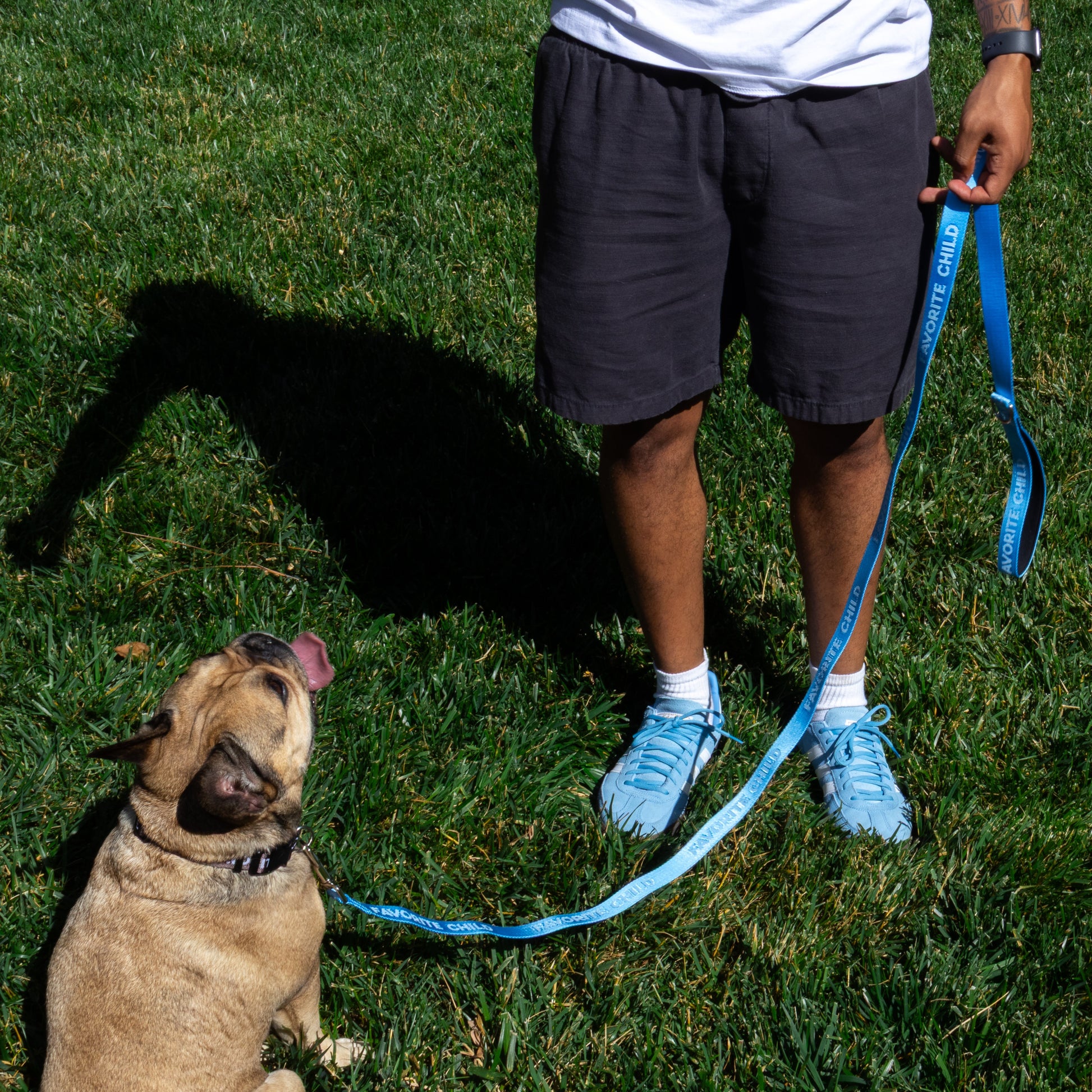 Favorite Child Sky Blue - Dog Leash