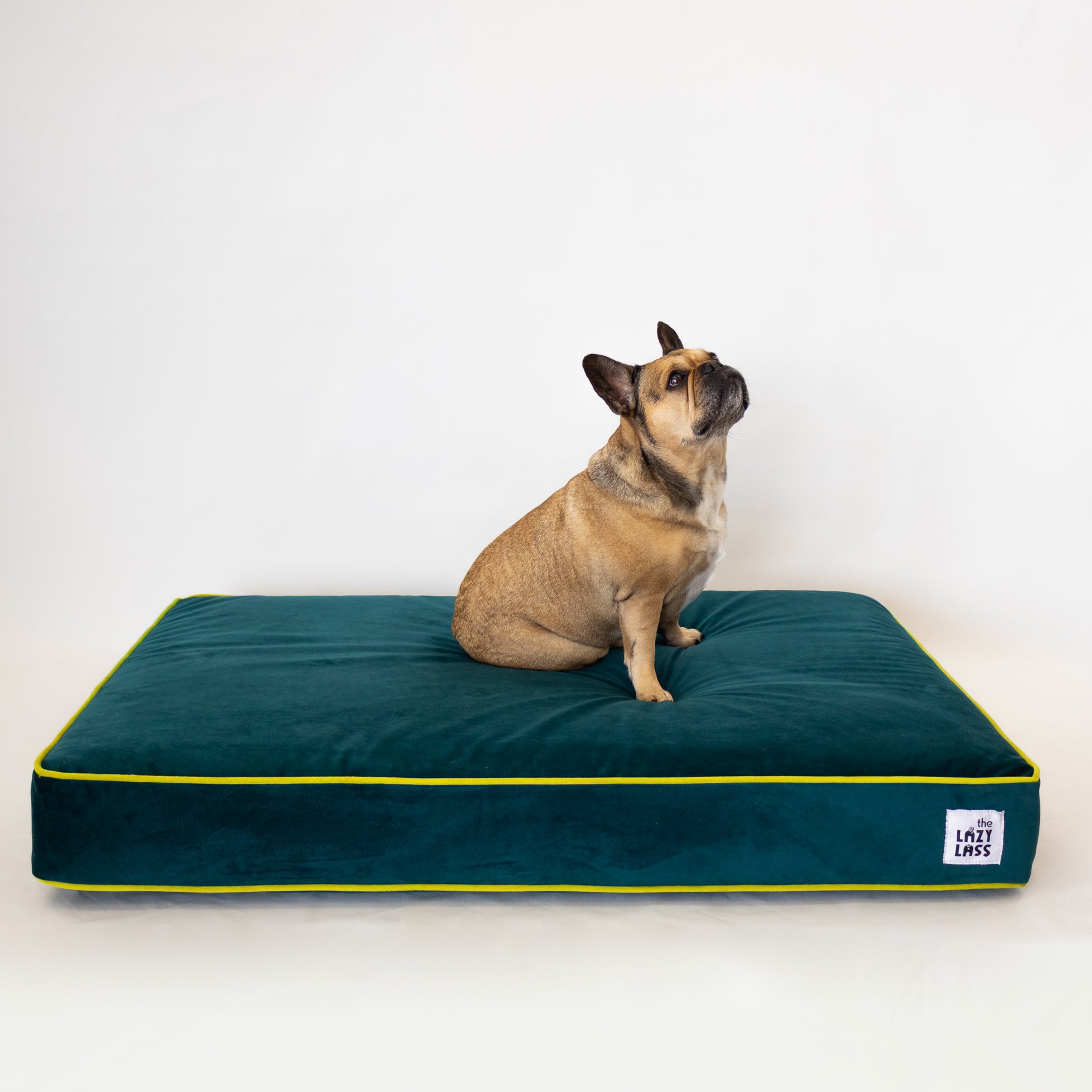 The Bruno Bed