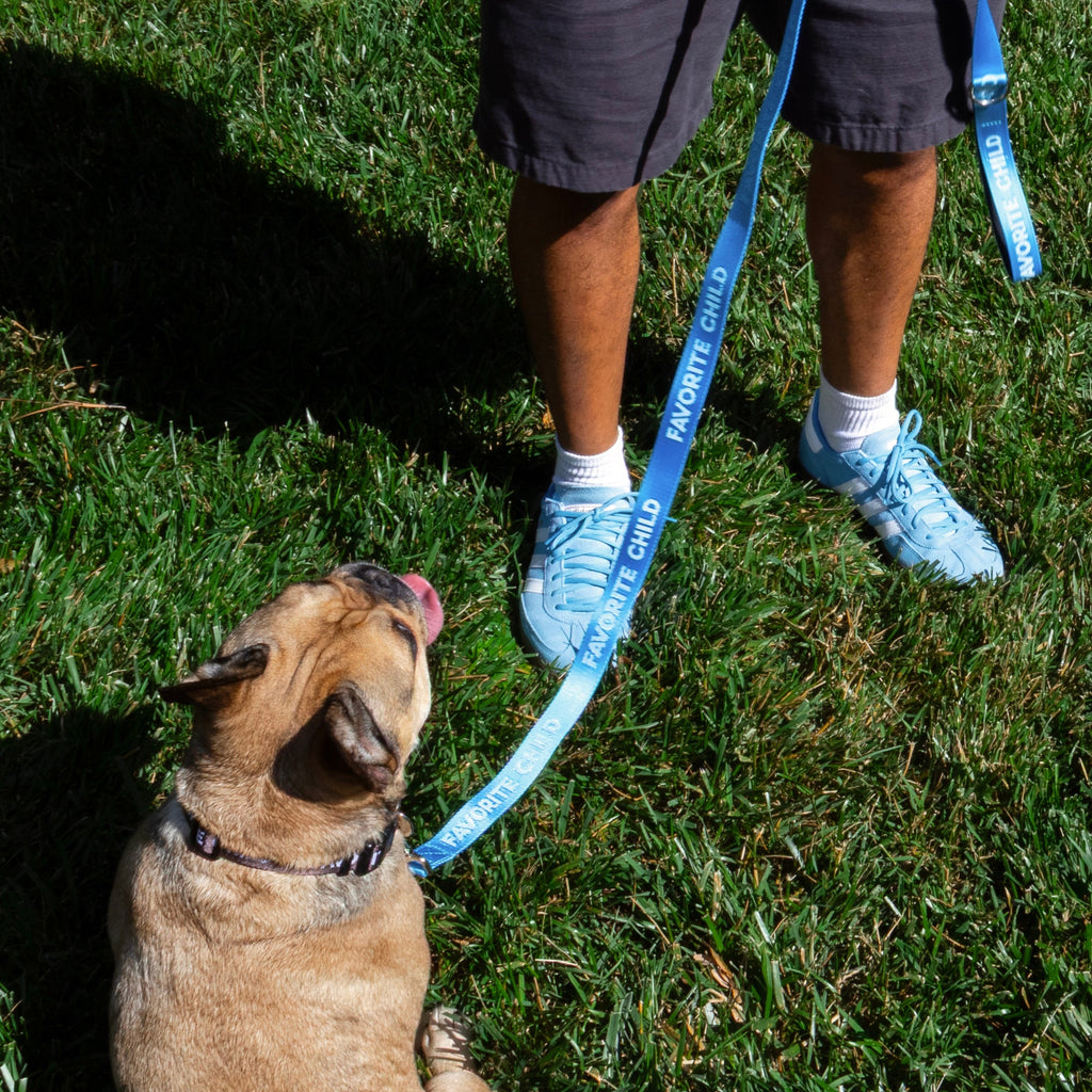 Favorite Child Sky Blue - Dog Leash