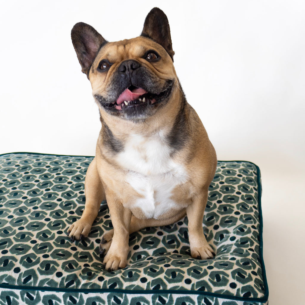 The Josephine Bed
