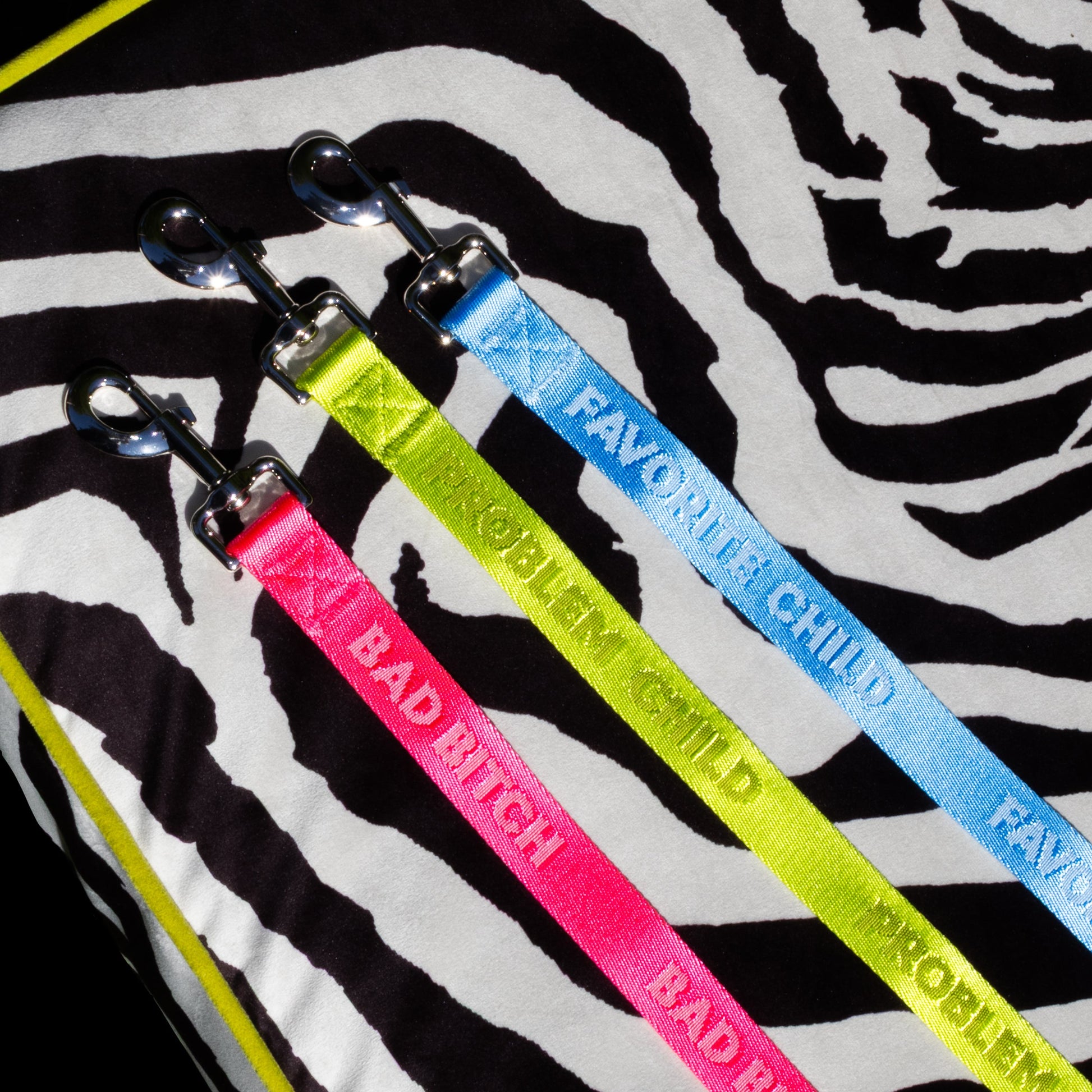 Favorite Child Sky Blue - Dog Leash