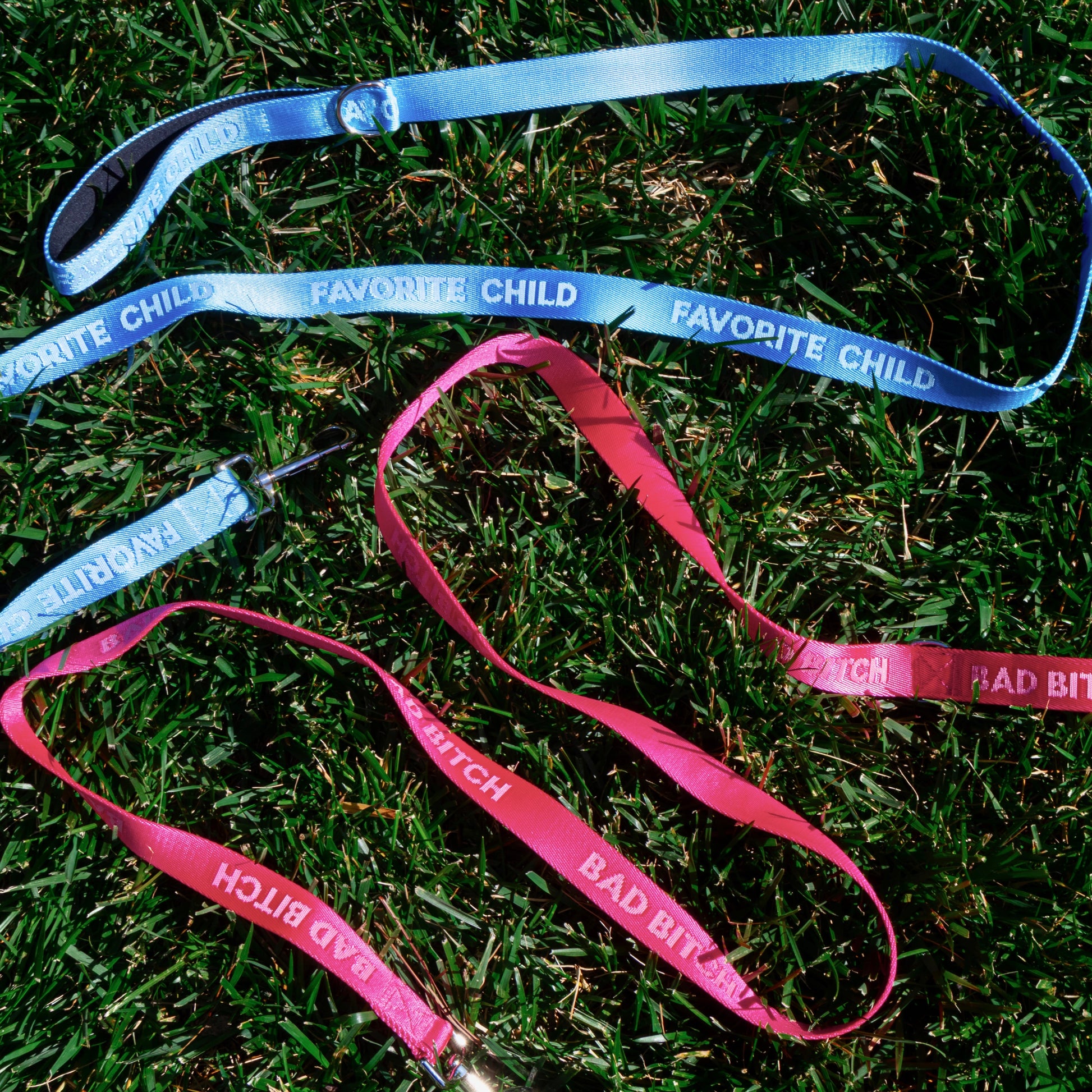 Favorite Child Sky Blue - Dog Leash