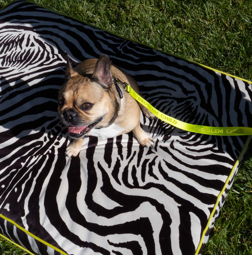 Problem Child - Dog Leash