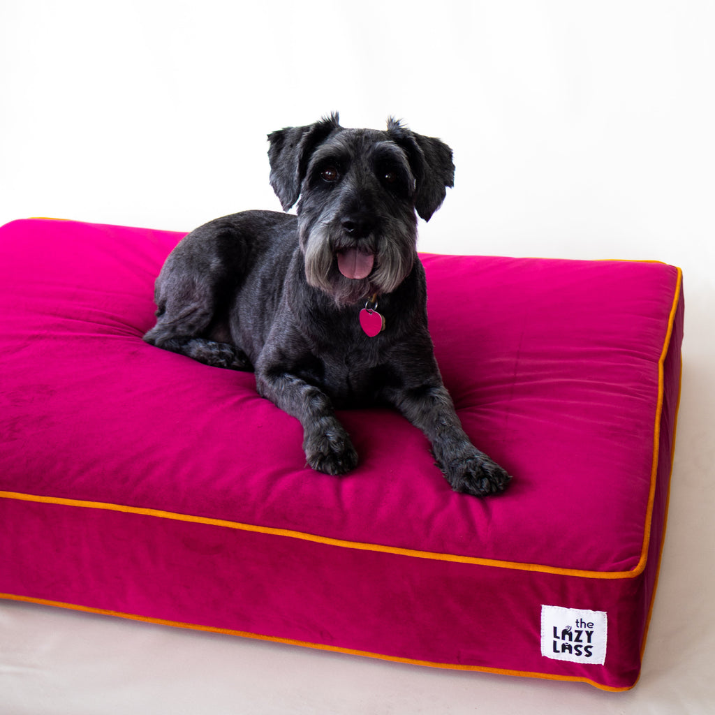 The Bella Bed