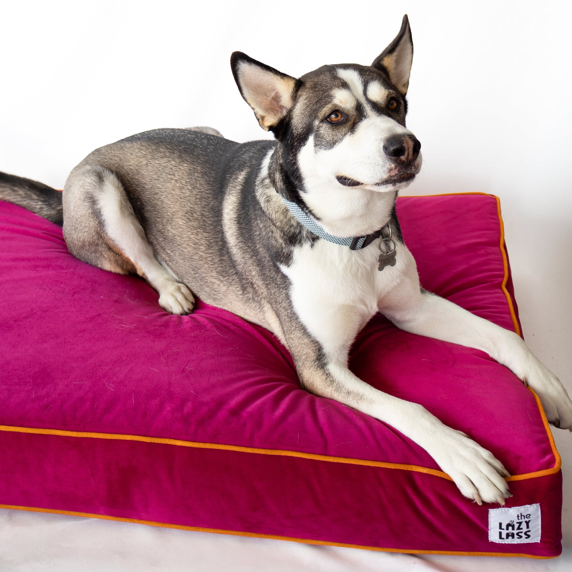 The Bella Bed