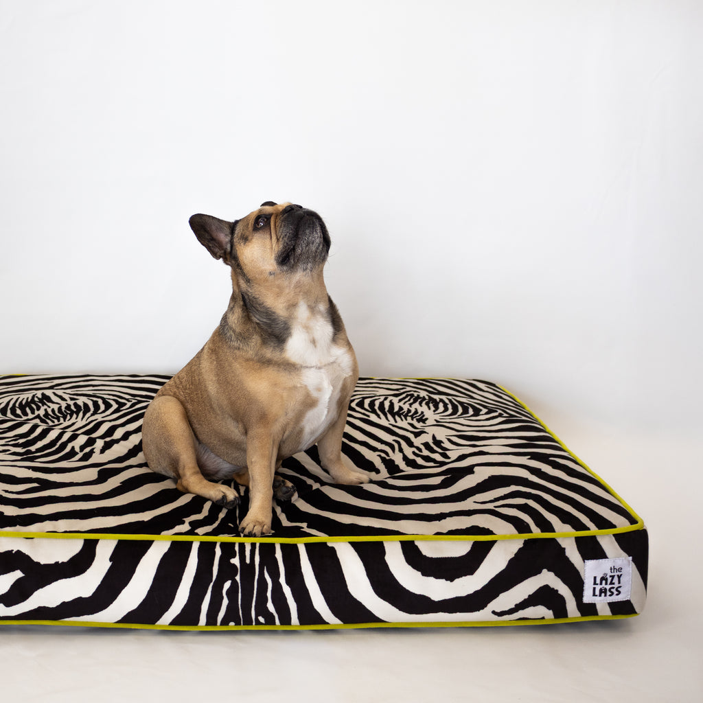 The Chisel Bed