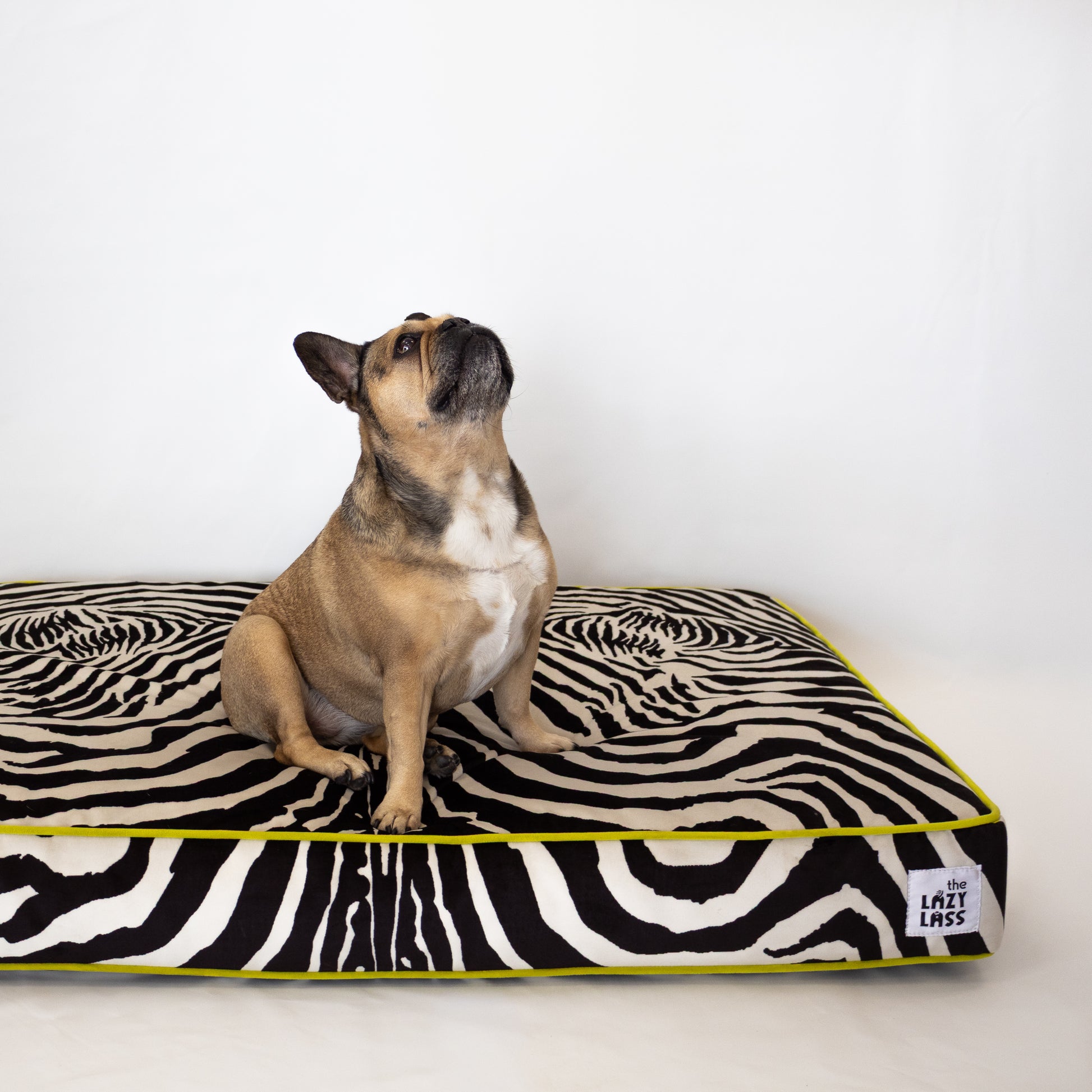 The Chisel Bed