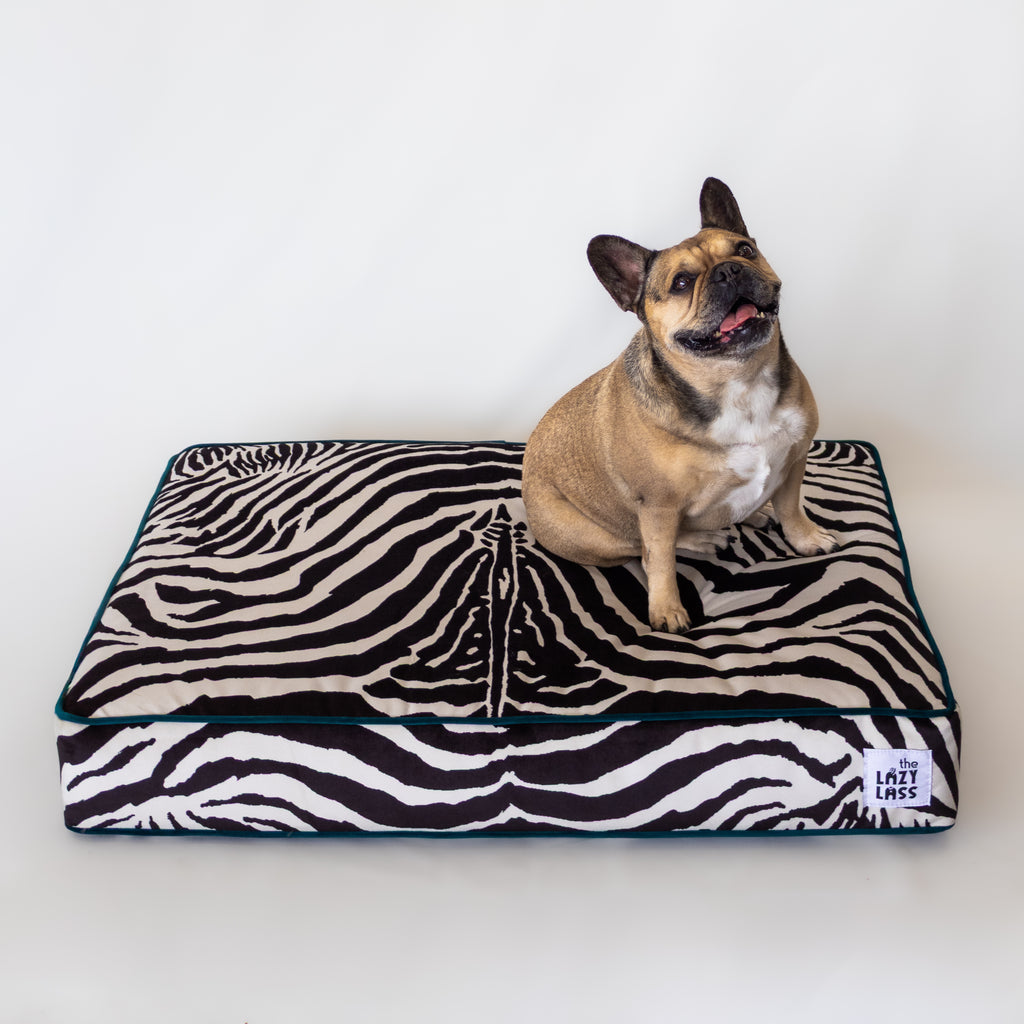 The Chisel Bed