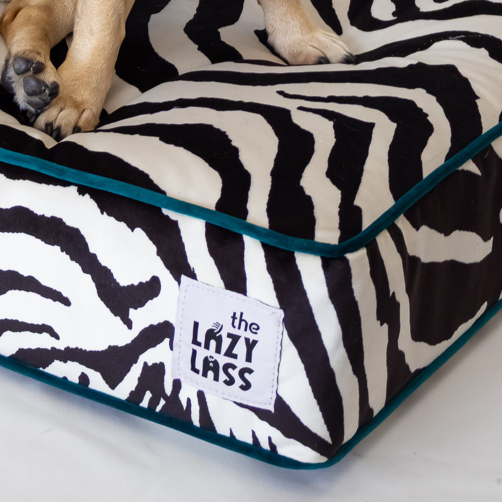 The Chisel Bed