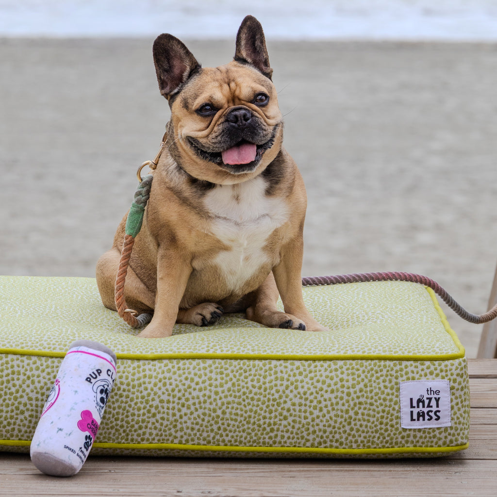 The Mako Bed